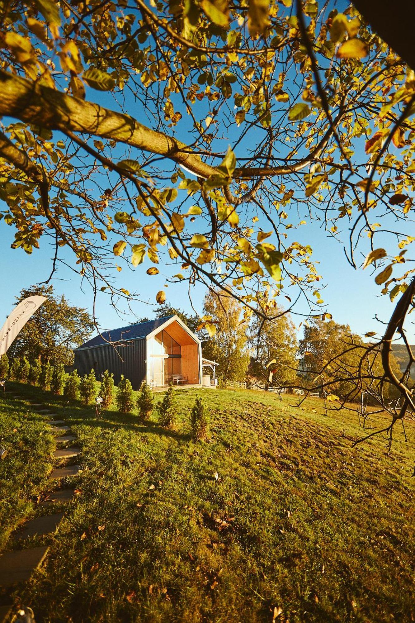 Scandinave Chalet Bran Zărneşti Extérieur photo