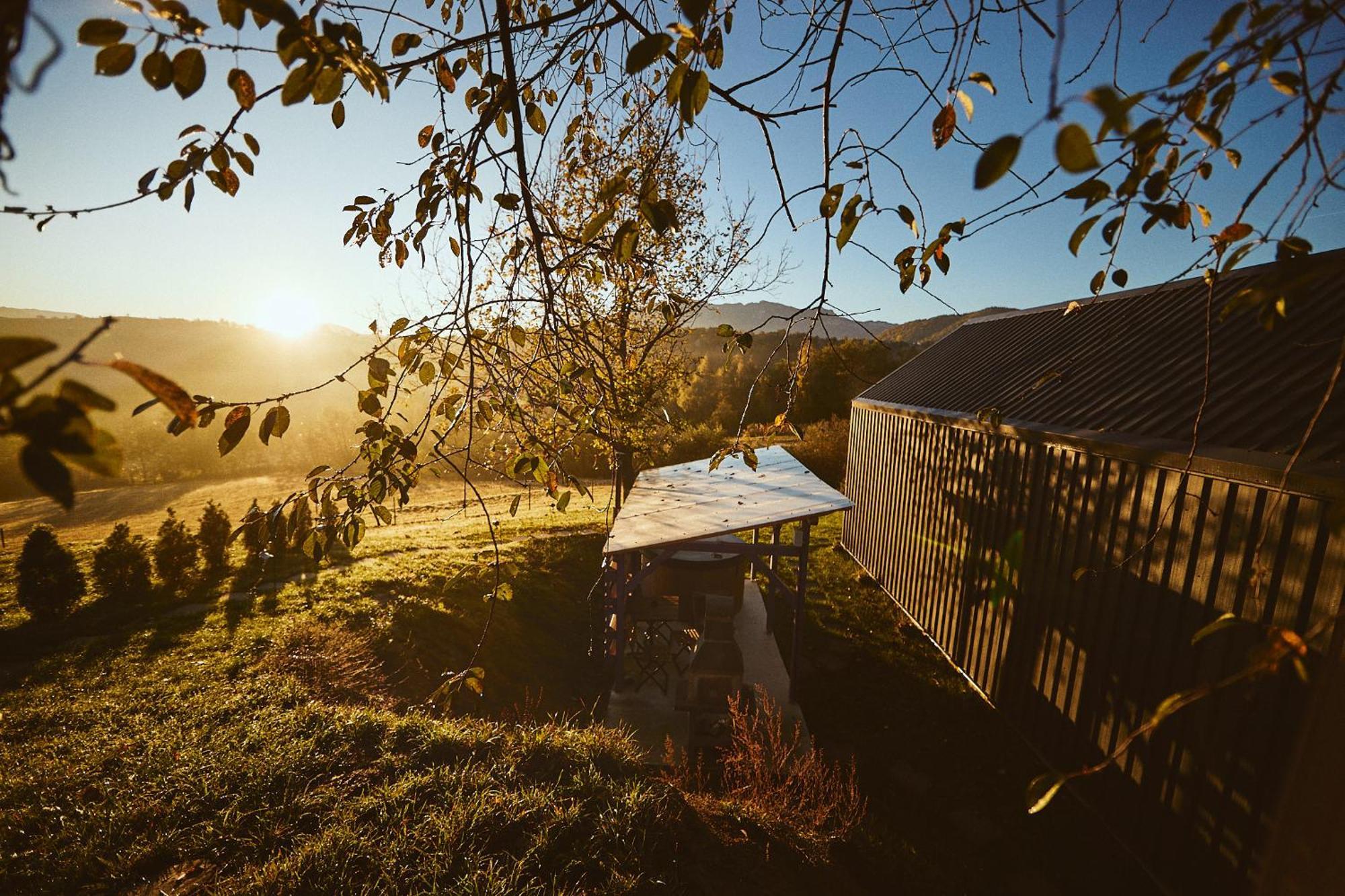 Scandinave Chalet Bran Zărneşti Extérieur photo
