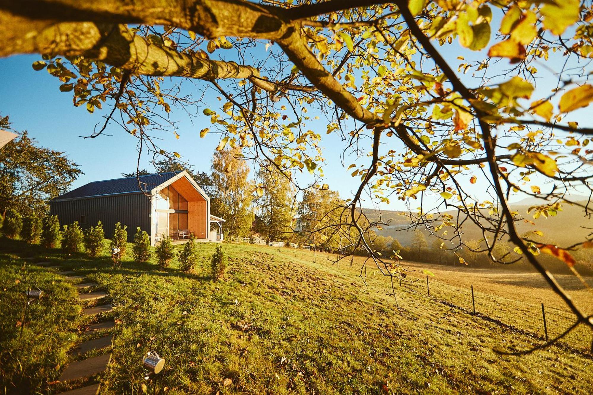 Scandinave Chalet Bran Zărneşti Extérieur photo